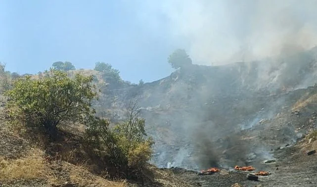 Adıyaman Gölbaşı’nda Çöplük Yangını Ormanlık Alana Sıçradı